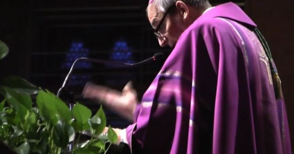 Video News 14/12/2015