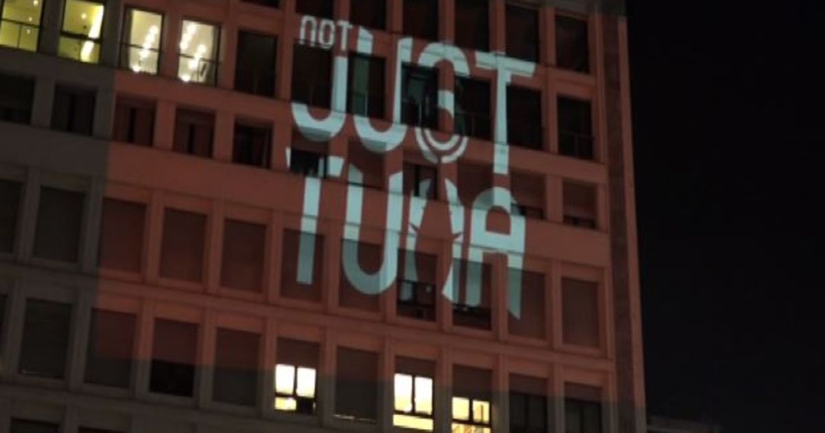 Video News 15/12/2015