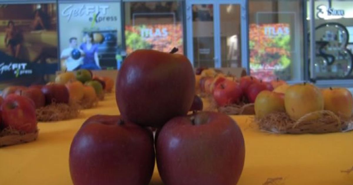 Video News 16/12/2015