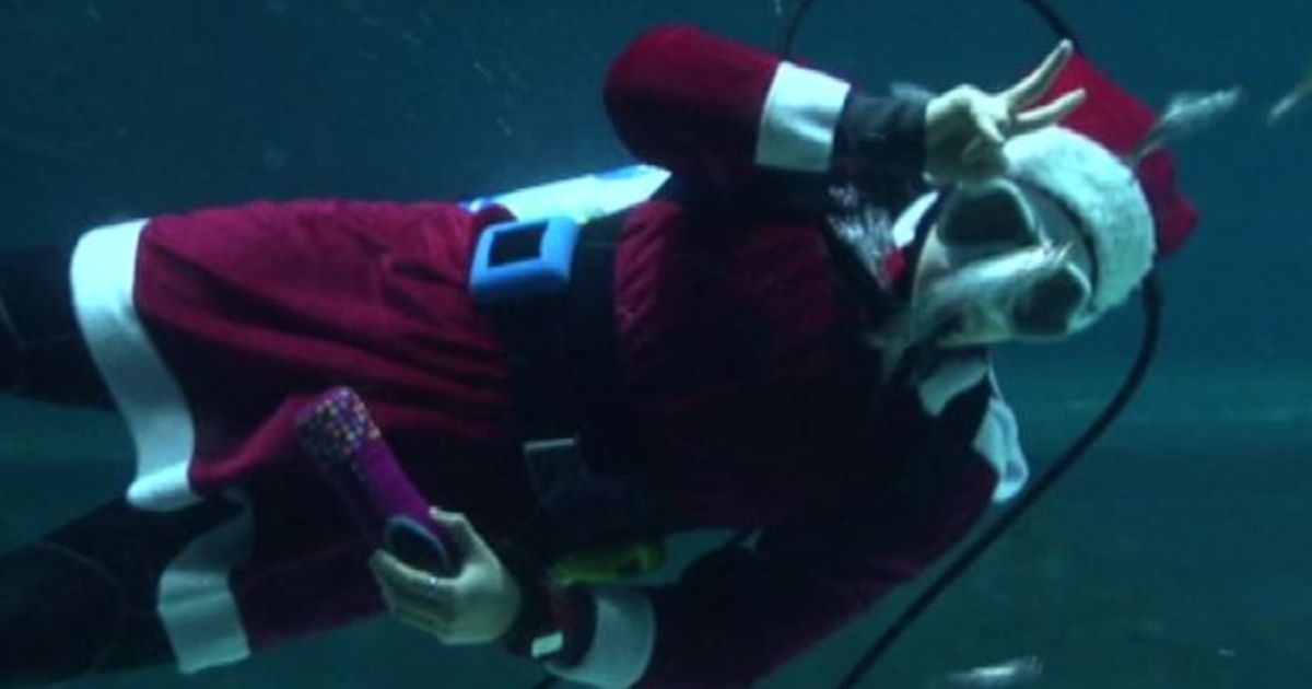 Video News 16/12/2015