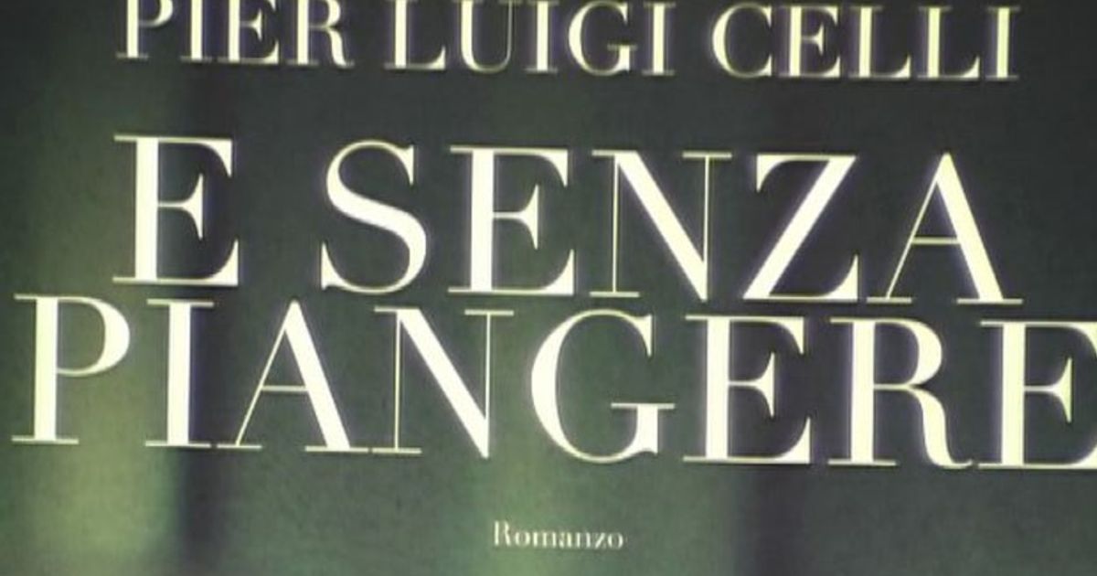 Video News 16/12/2015