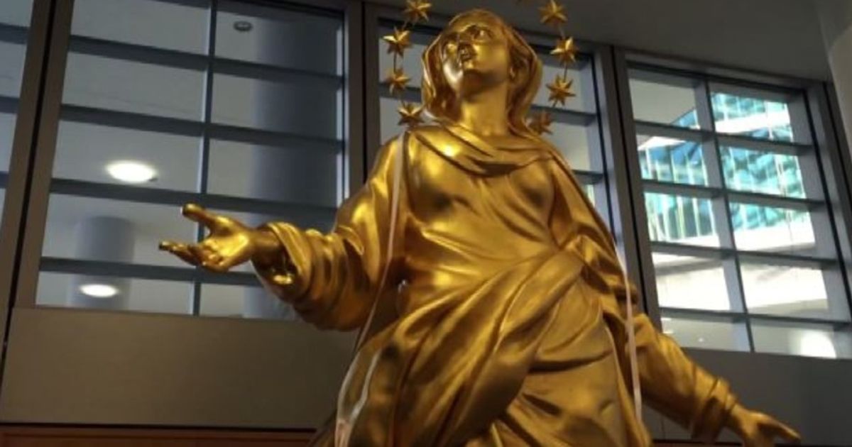 Video News 16/12/2015