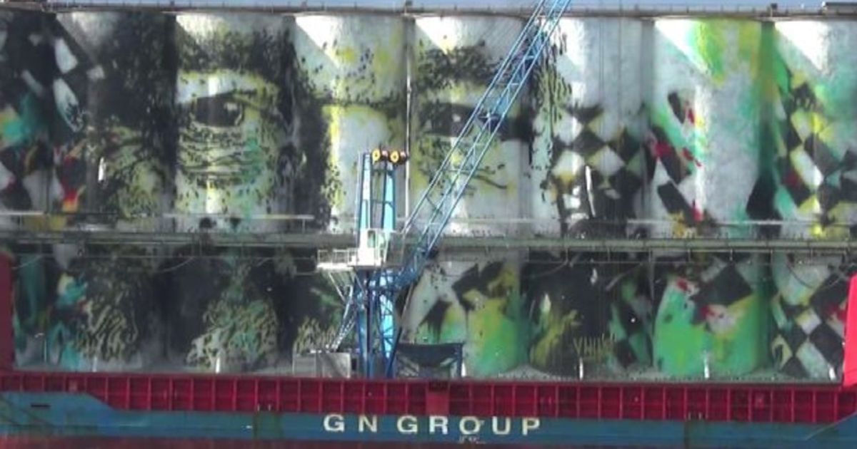 Video News 17/12/2015