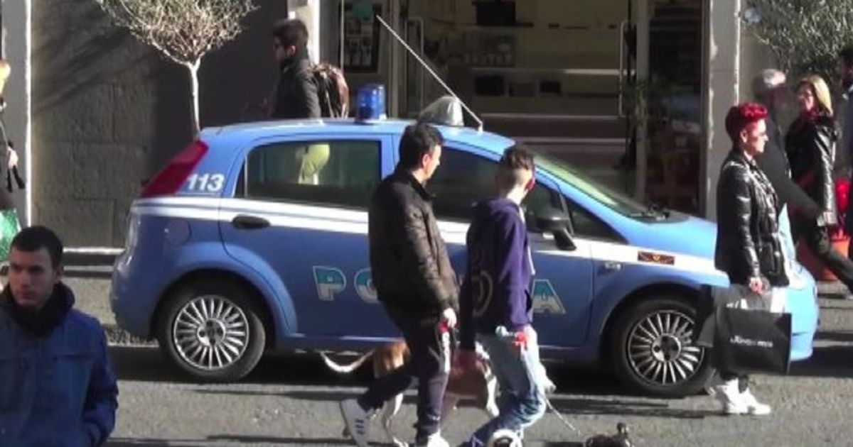 Video News 18/12/2015