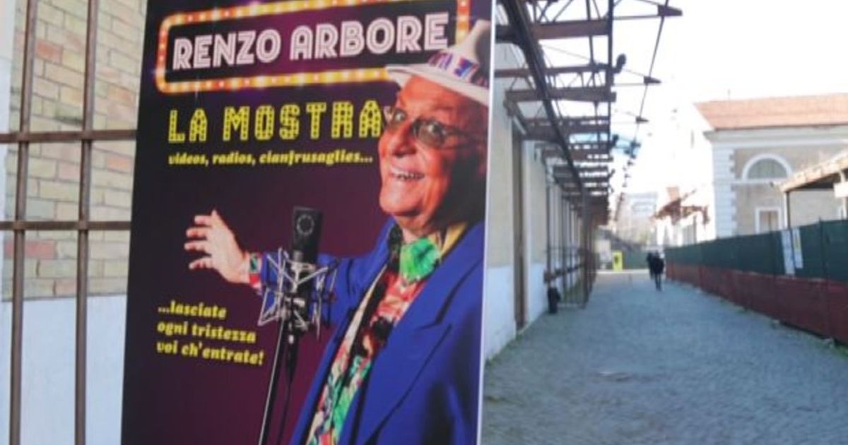 Video News 18/12/2015