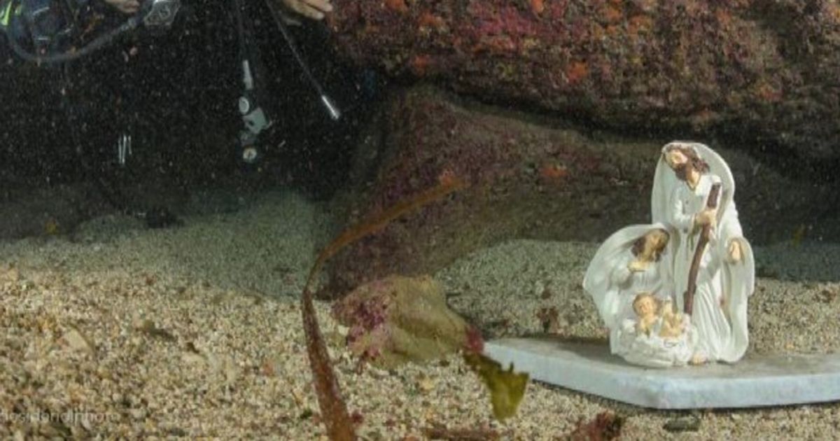 Video News 21/12/2015