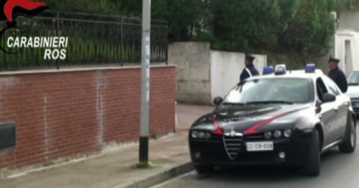 Video News 23/12/2015