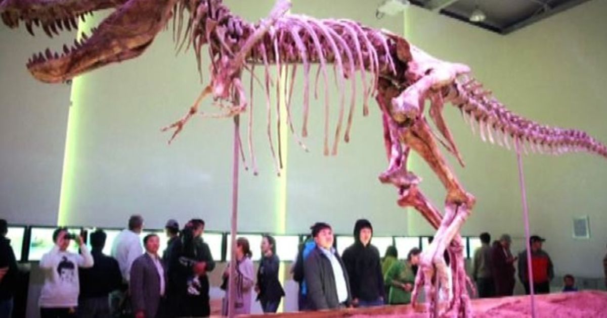 Video News 23/12/2015