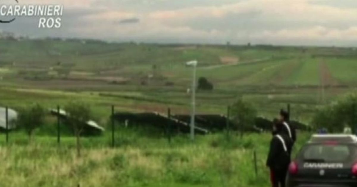 Video News 23/12/2015