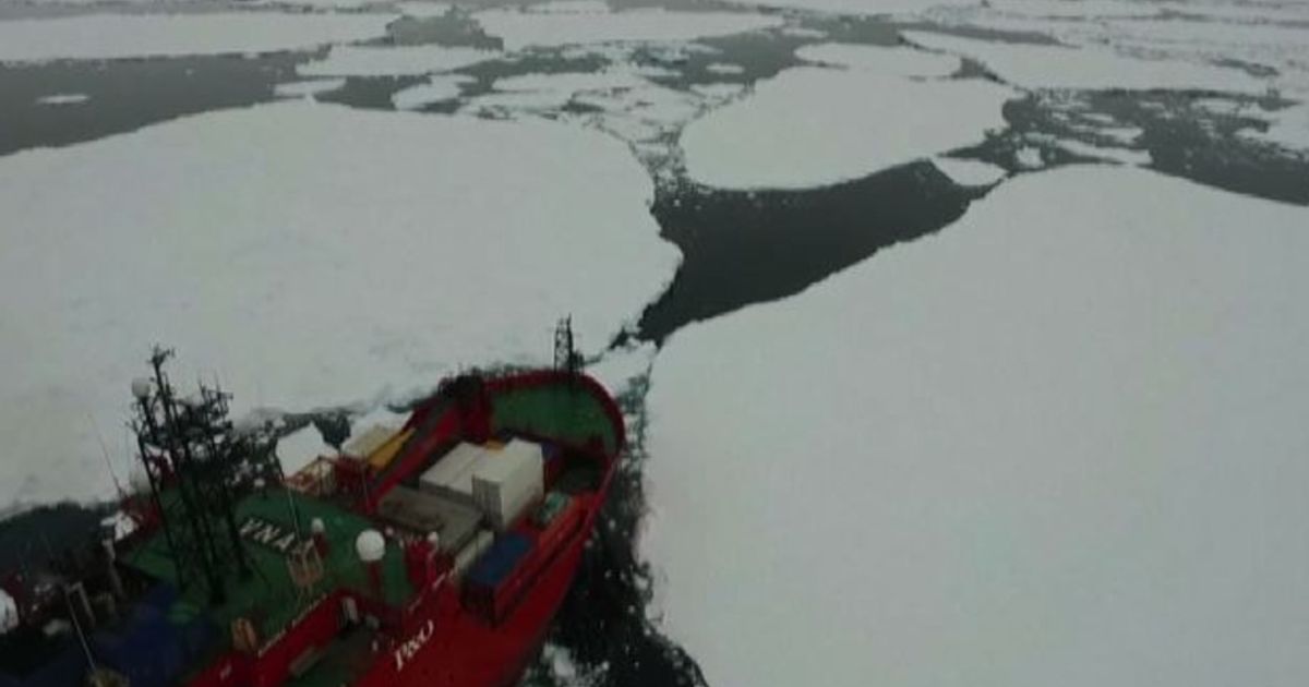 Video News 23/12/2015