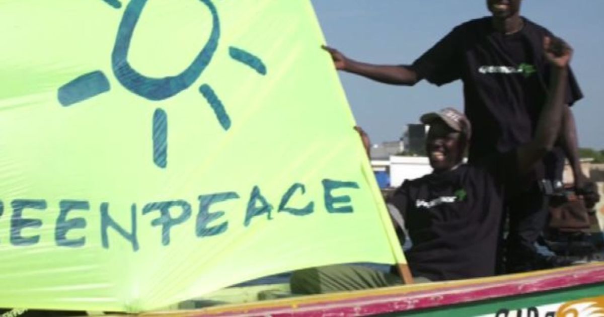 Video News 28/12/2015