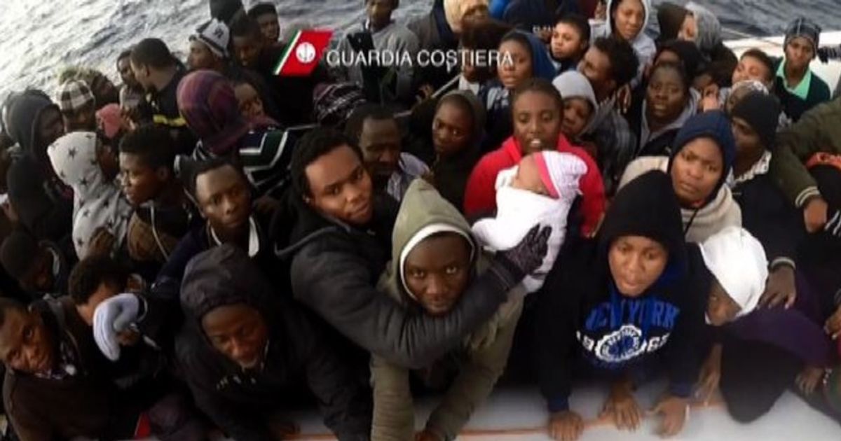 Video News 28/12/2015