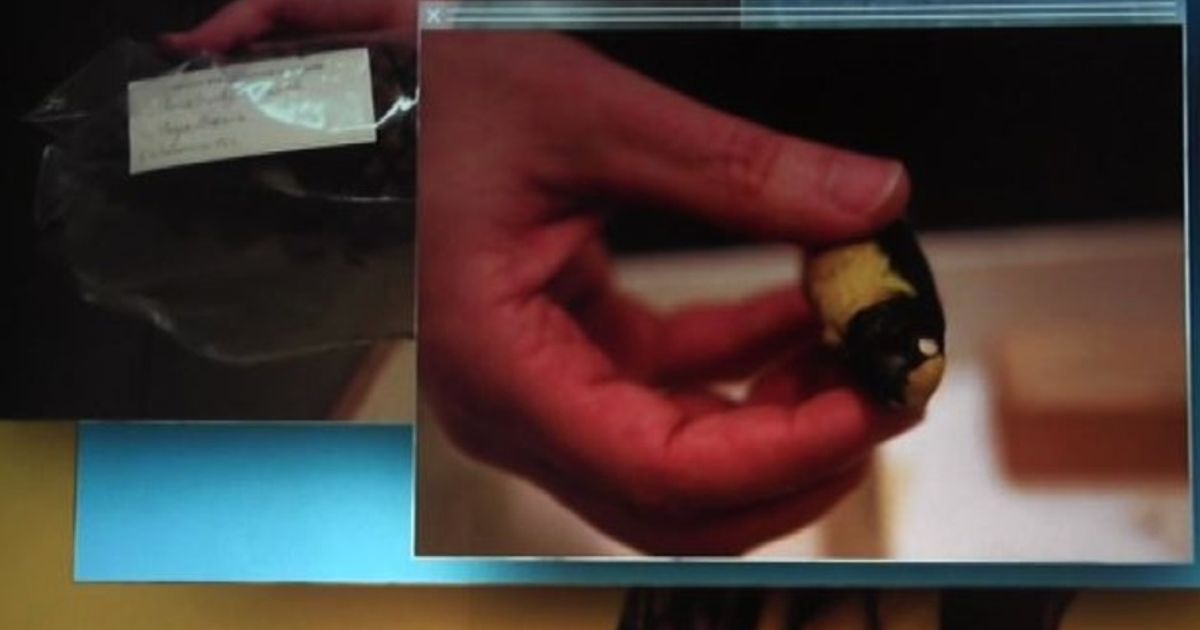 Video News 28/12/2015