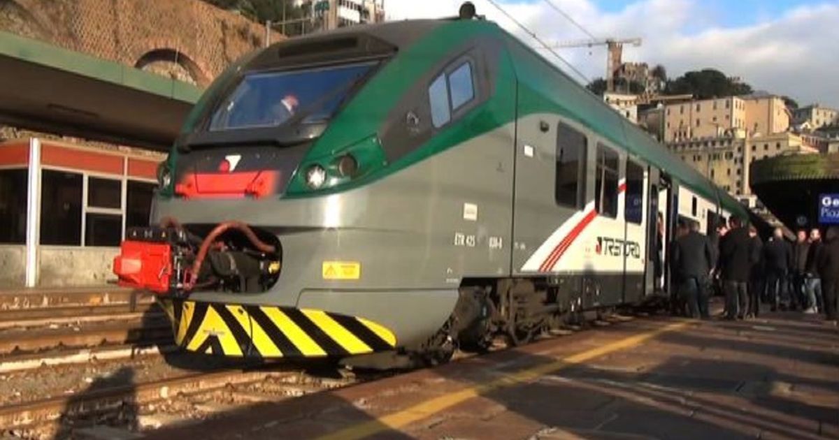 Video News 28/12/2015