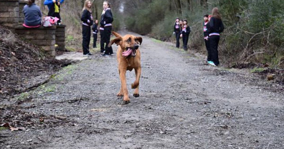 Ludivine, incuriosita dalla maratona si unisce alla corsa. E arriva settima.