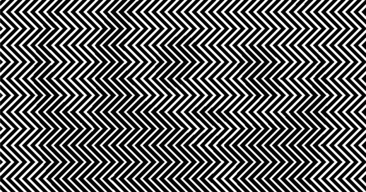 Illusione ottica Il panda c8217 ma non si vede Ma c8217 un trucco8230