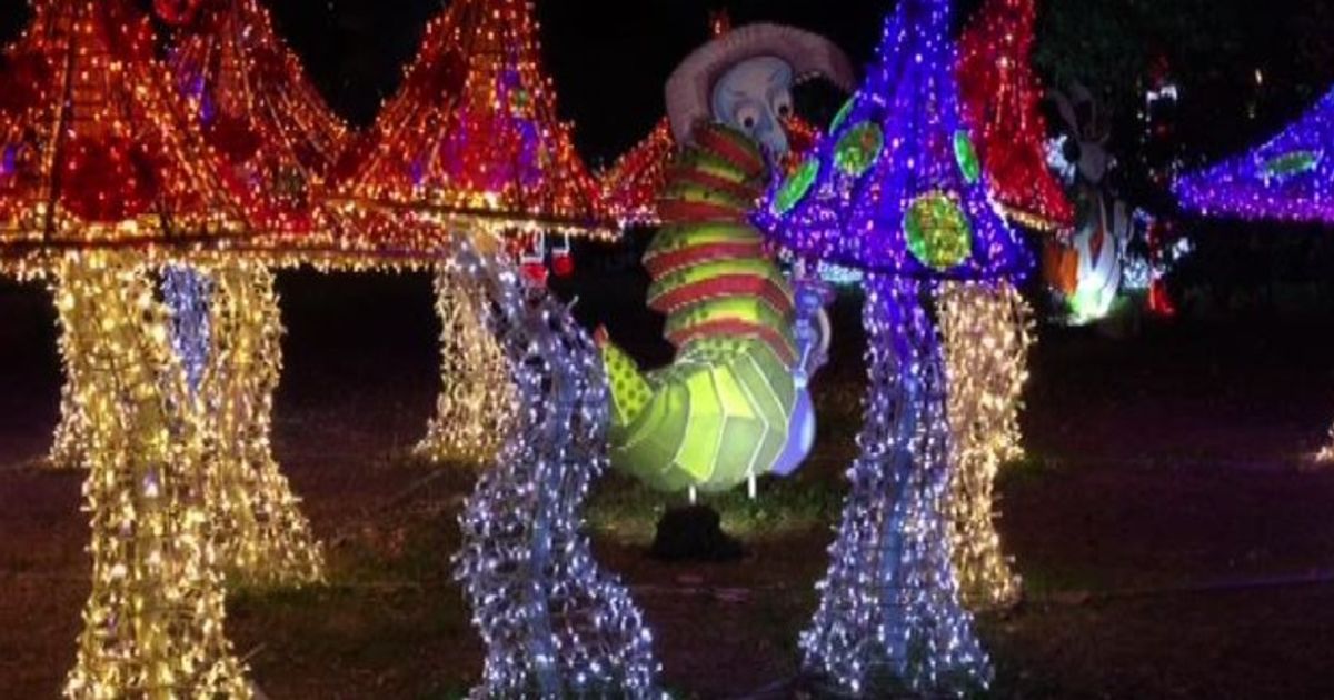 Video News 07/01/2016