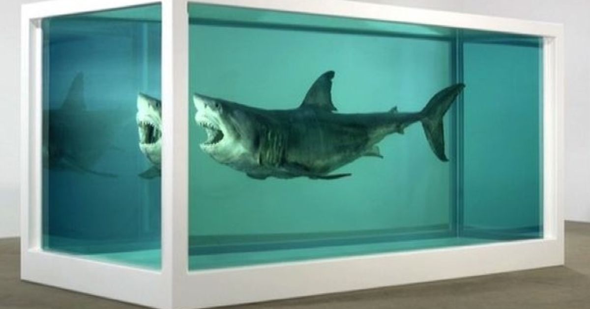 Video News 07/01/2016