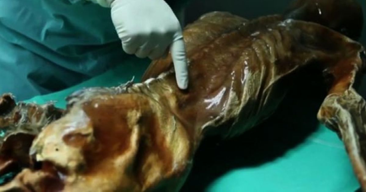 Video News 08/01/2016