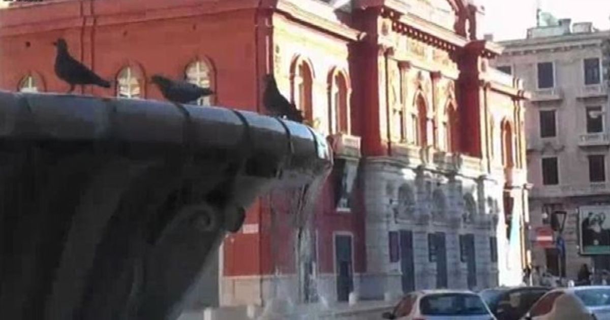 Video News 13/01/2016