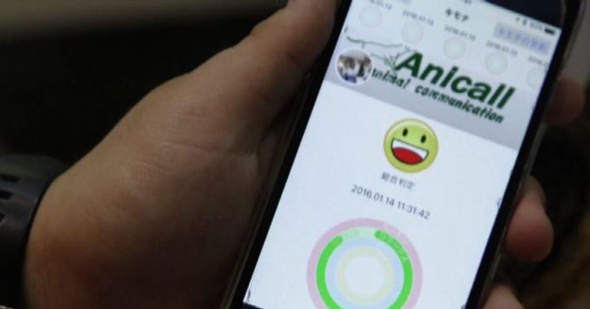 Video News 14/01/2016