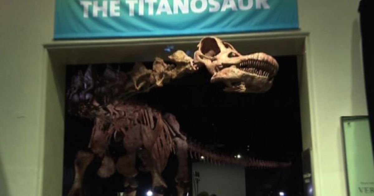 Video News 15/01/2016