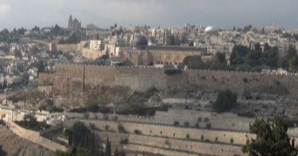 Video News 15/01/2016