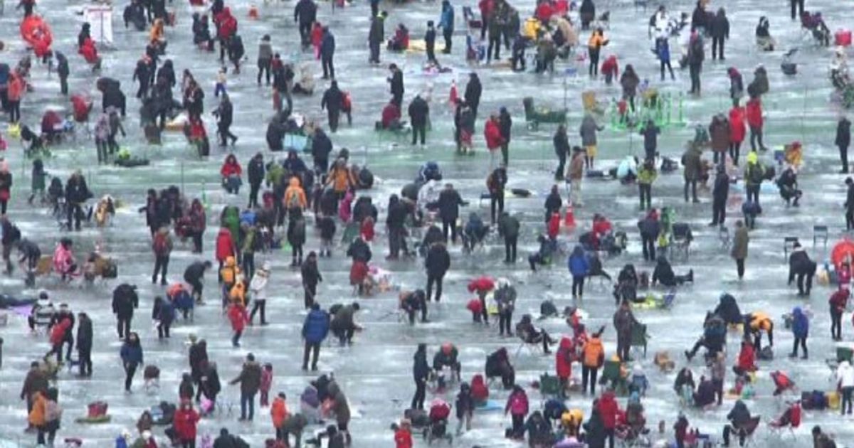 Video News 16/01/2016