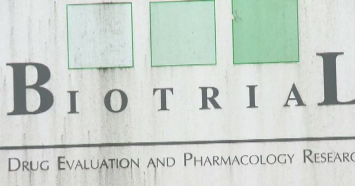 Video News 18/01/2016