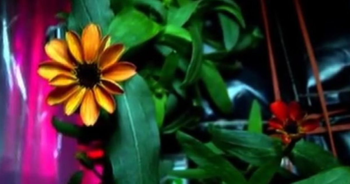 Video News 18/01/2016