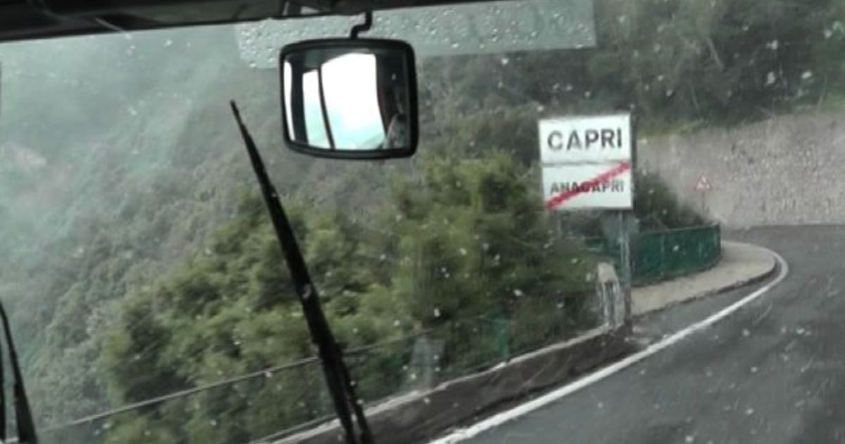 Video News 19/01/2016