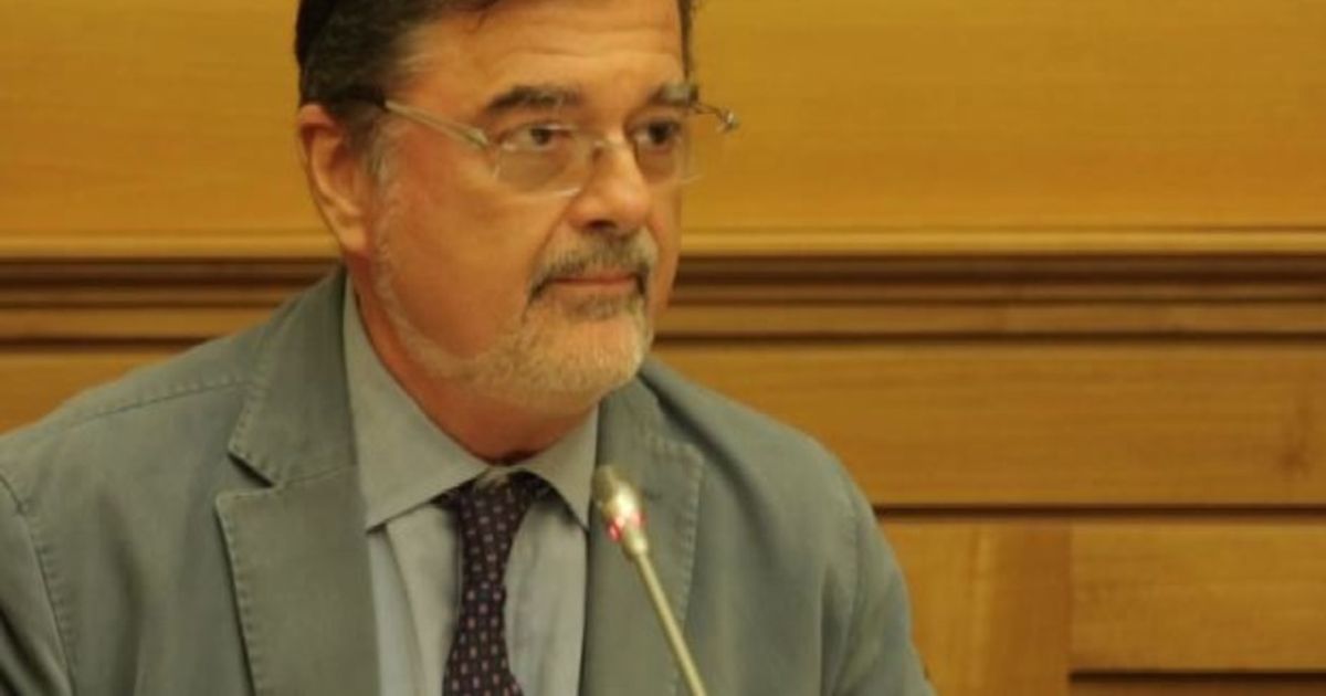 Video News 19/01/2016