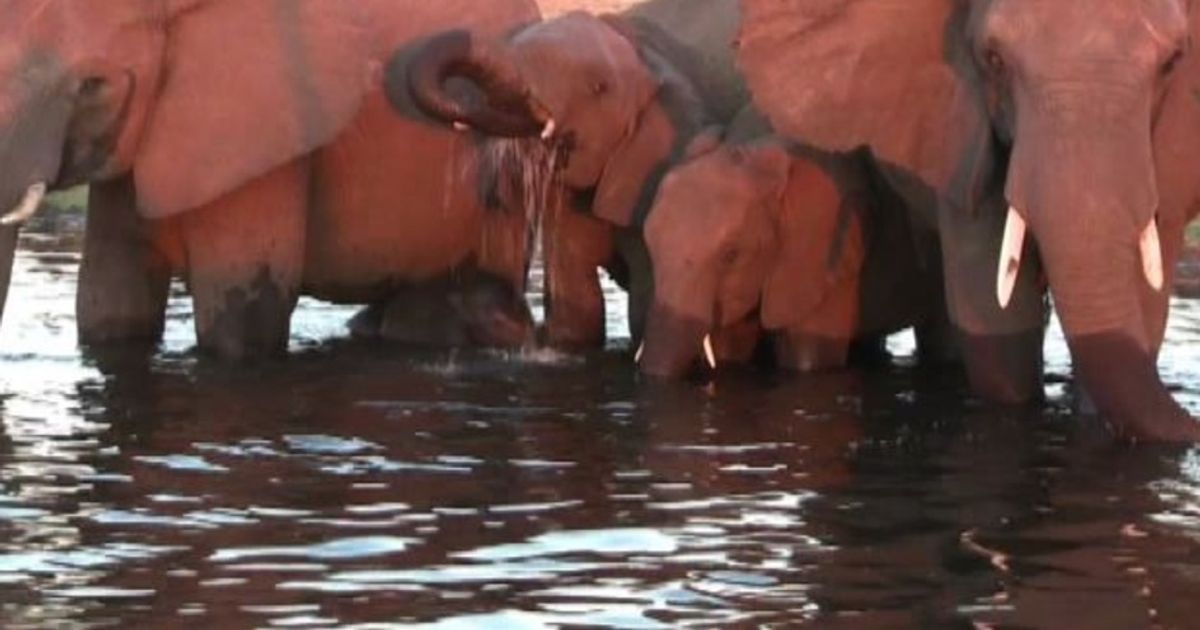 Video News 21/01/2016