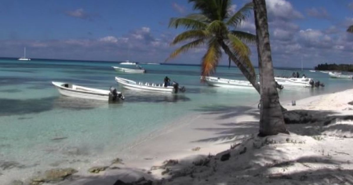 Video News 21/01/2016