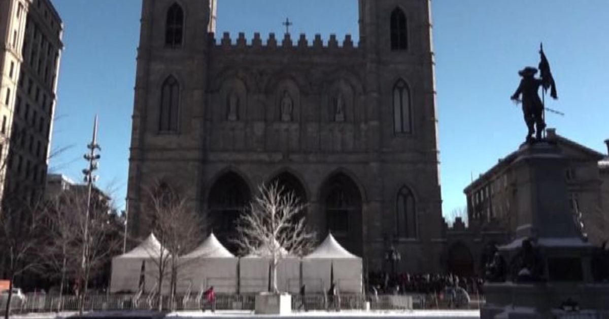 Video News 23/01/2016