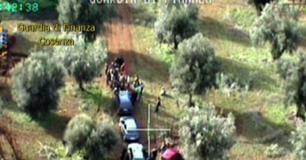 Video News 25/01/2016