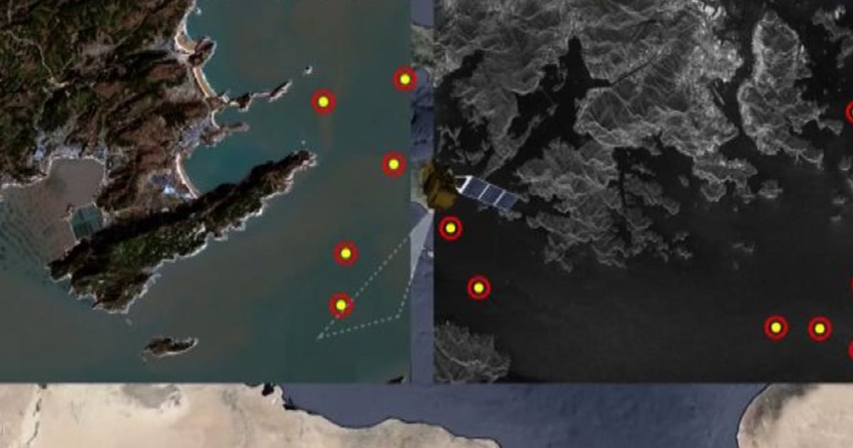 Video News 25/01/2016