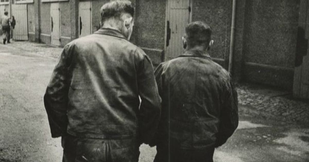 Video News 28/01/2016