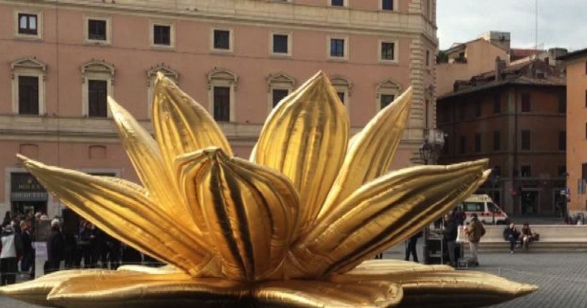 Video News 29/01/2016