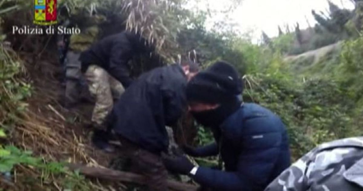 Video News 29/01/2016