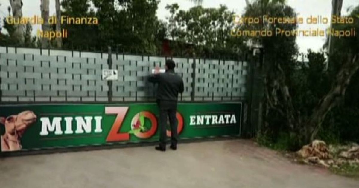 Zoo abusivo sequestrato da Finanza e Forestale nel Napoletano