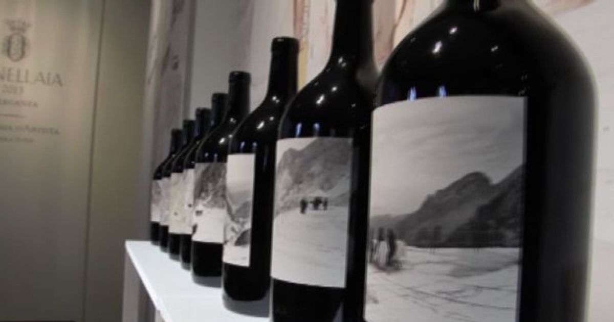 Quando il vino ha carattere: l’Ornellaia 2013 celebra l’eleganza