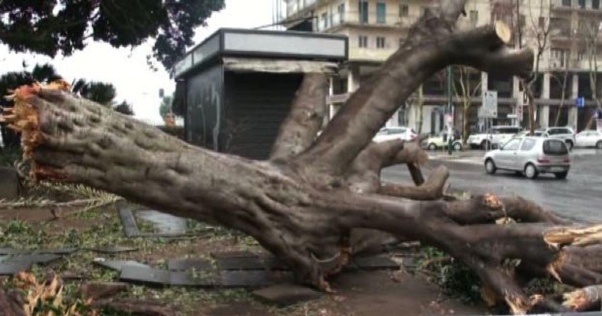 Il maltempo flagella il Centro-sud: cinque morti e diversi feriti