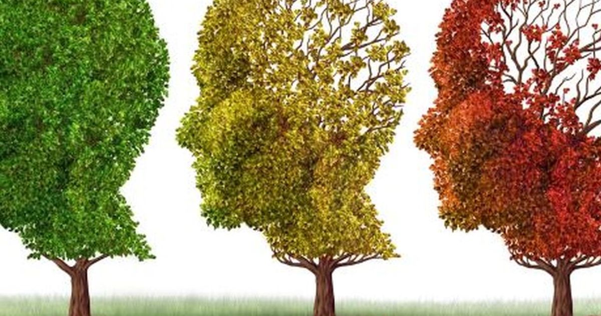 Le stagioni influenzano il cervello