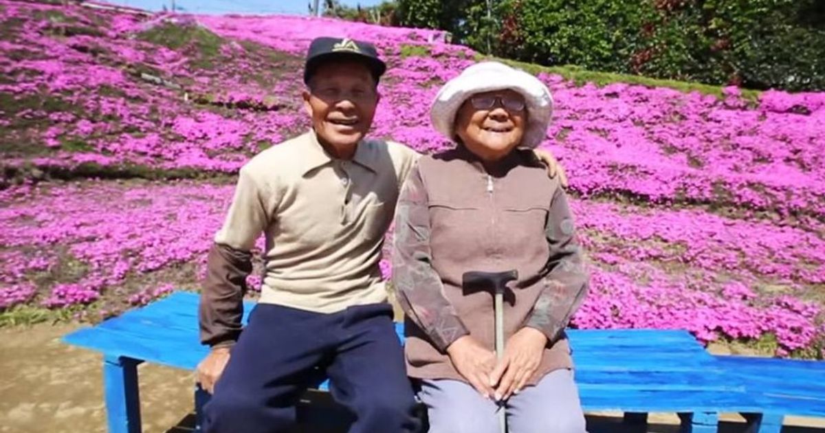 Ha piantato una distesa di meravigliosi fiori solo per regalare il loro profumo alla moglie cieca