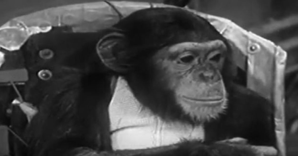 Video News 01/02/2016