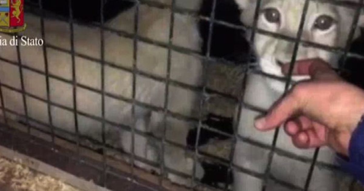 Video News 01/02/2016