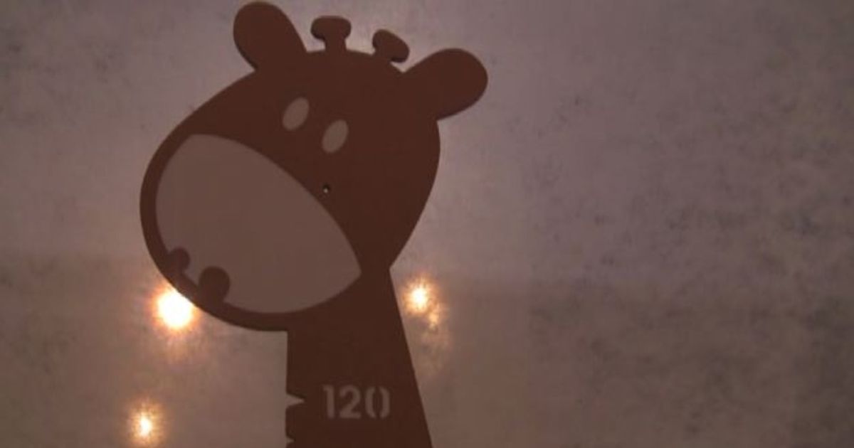 Video News 03/02/2016