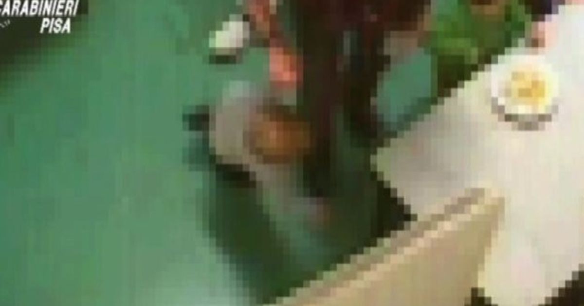 Video News 04/02/2016