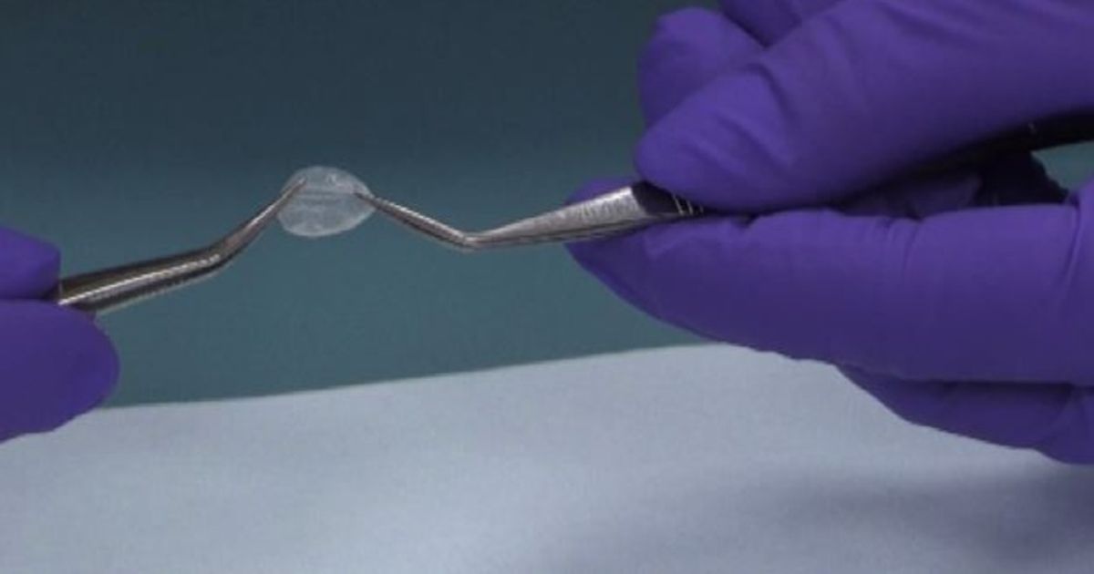 Video News 07/02/2016